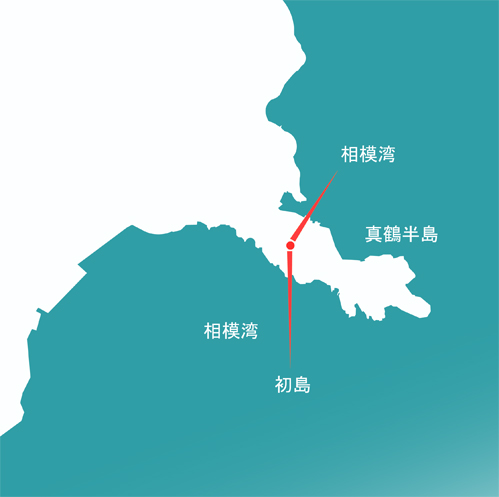 敷地から海が見えます。